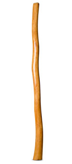 Gloss Finish Didgeridoo (TW1068)